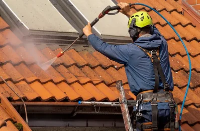 Démoussage et hydrofuge de toiture à Chalancon